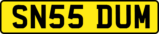 SN55DUM