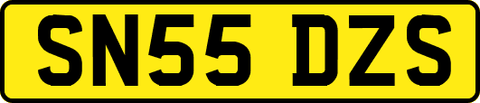 SN55DZS