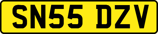 SN55DZV