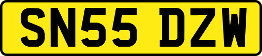 SN55DZW