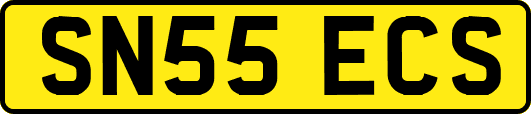 SN55ECS