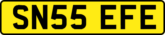 SN55EFE
