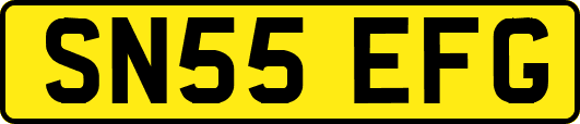 SN55EFG