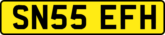 SN55EFH