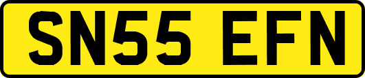 SN55EFN