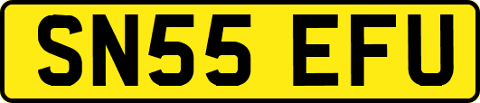 SN55EFU