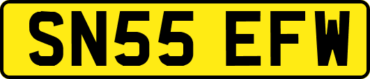 SN55EFW