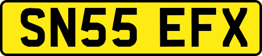 SN55EFX