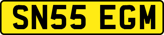SN55EGM
