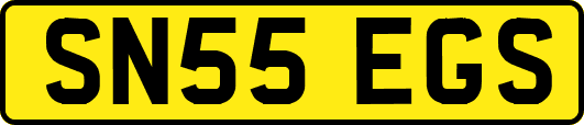 SN55EGS