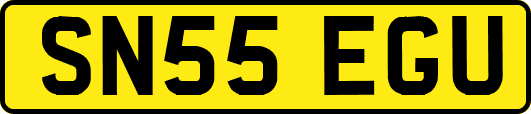 SN55EGU
