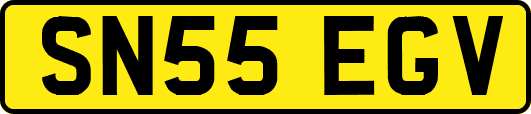 SN55EGV