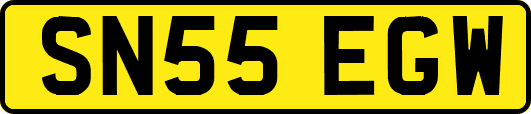 SN55EGW