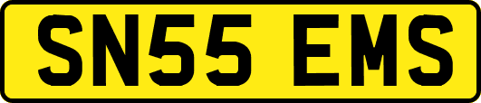 SN55EMS