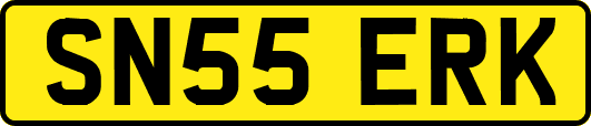 SN55ERK