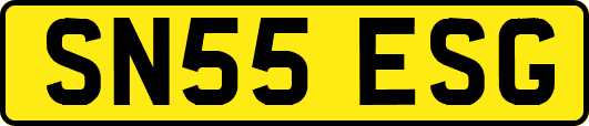 SN55ESG