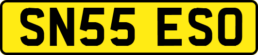 SN55ESO