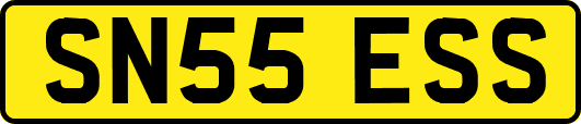 SN55ESS