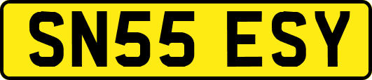 SN55ESY