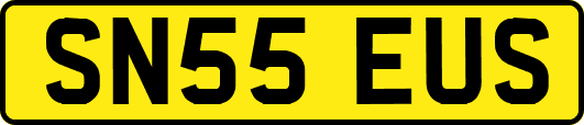 SN55EUS