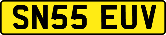 SN55EUV