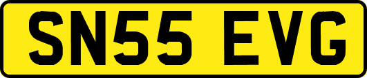 SN55EVG