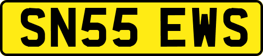 SN55EWS