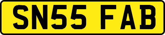 SN55FAB