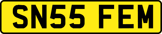 SN55FEM