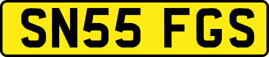 SN55FGS