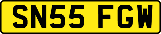SN55FGW