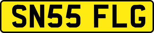 SN55FLG