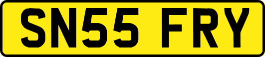 SN55FRY