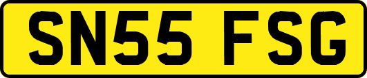 SN55FSG