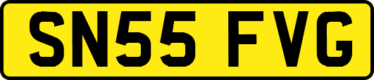 SN55FVG