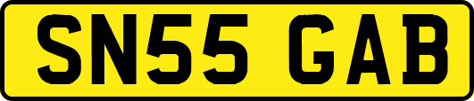 SN55GAB