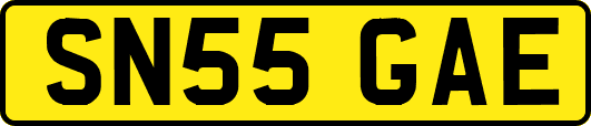 SN55GAE