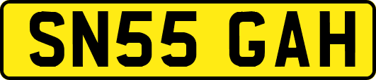 SN55GAH