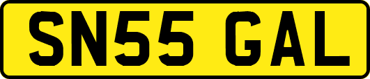 SN55GAL