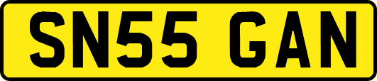 SN55GAN