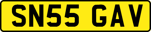 SN55GAV