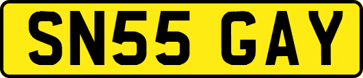 SN55GAY
