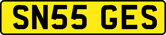 SN55GES