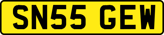 SN55GEW