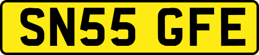 SN55GFE