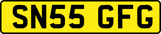 SN55GFG
