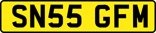 SN55GFM