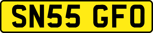 SN55GFO