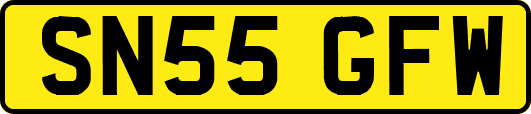 SN55GFW