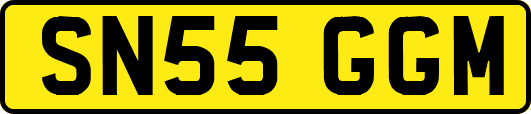 SN55GGM